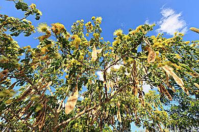 末世生存新作《纳克园：最后的乐园》实机演示公布